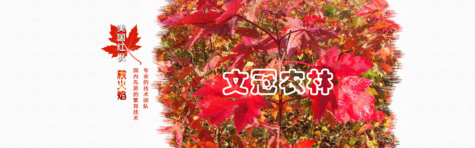 文冠农林